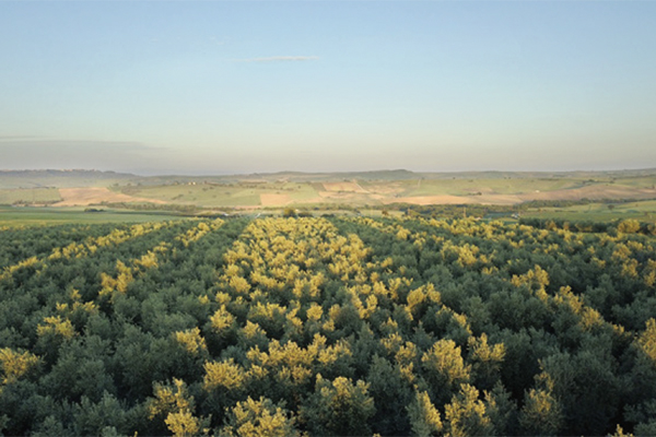 Marina Colonna Tenuta