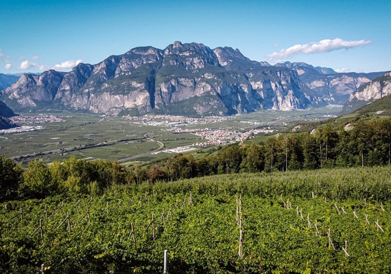 Pressano Sorni Moser Trento570