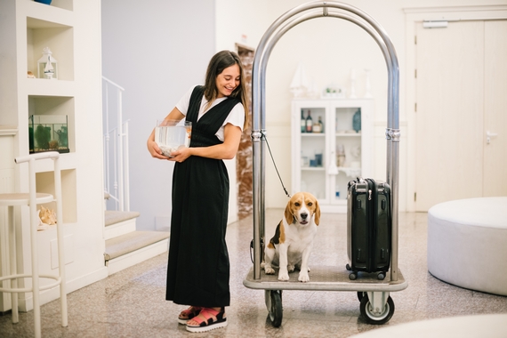 Ricci Hotels Pongo 11 pet friendly 23 570
