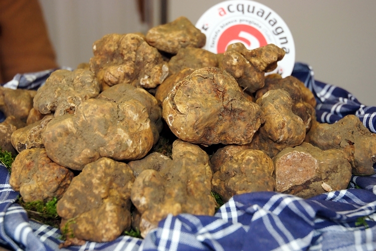 Tartufi Bianchi Acqualagna 1 23 750
