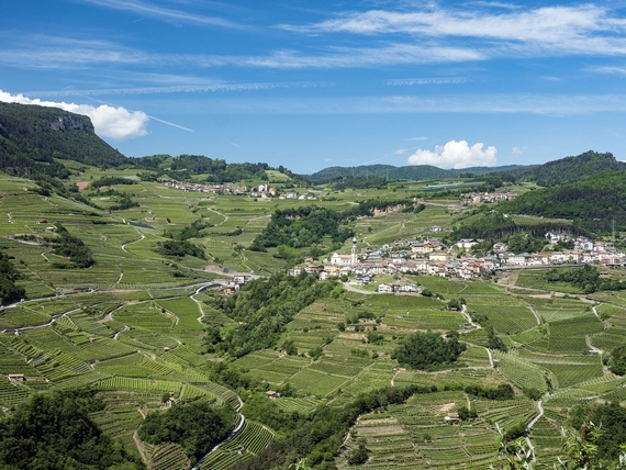 Val di cembra muller thurgau 23 02 570