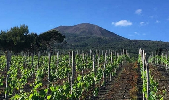 agricola villa doria premiazione maione 23 02 570