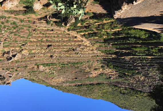 anfiteatro Bonomo pantelleria zibibbo 23