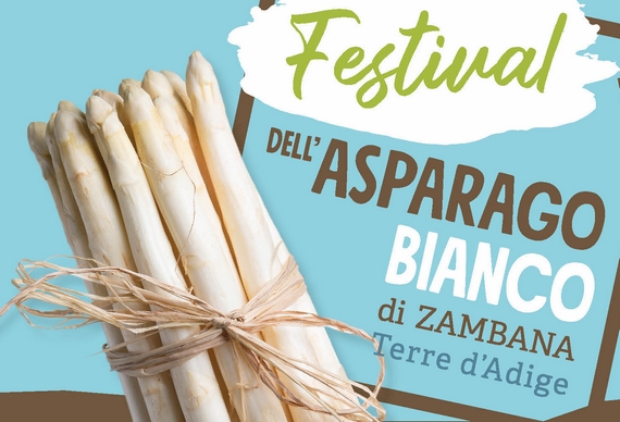 asparago bianco zambara fetival 23 04