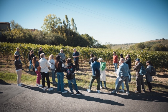 autunno pavese magenta 23 05 570