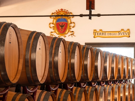 cantina re manfredi venosa casagrande 23 01 570