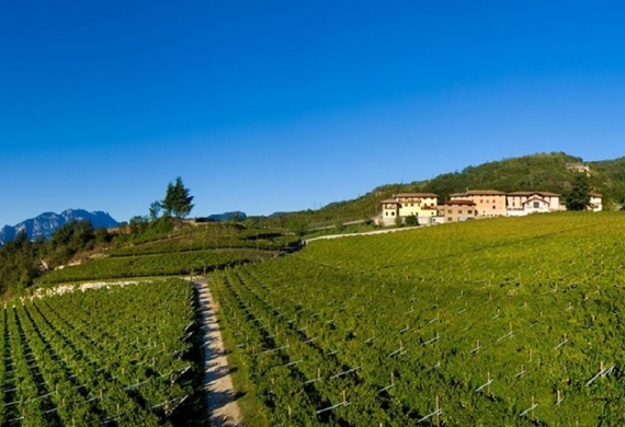 csm Moser panorama 570