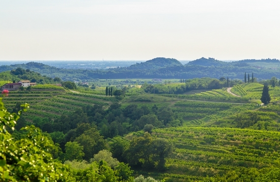 iStock 811215438 rosazzo friuli 23 570