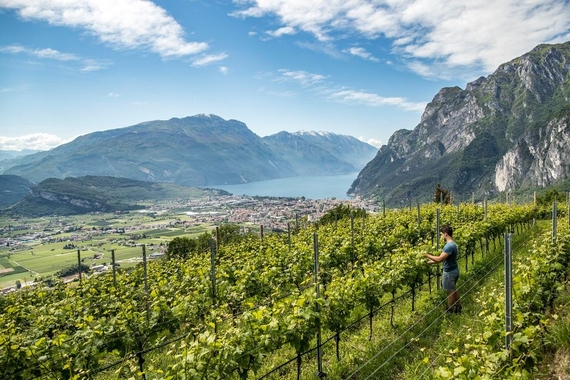 lipo palace riva del garda fine estate 23 casagrande 08 570