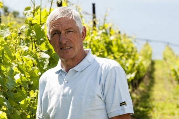 moser picnic vigna casagrande 23