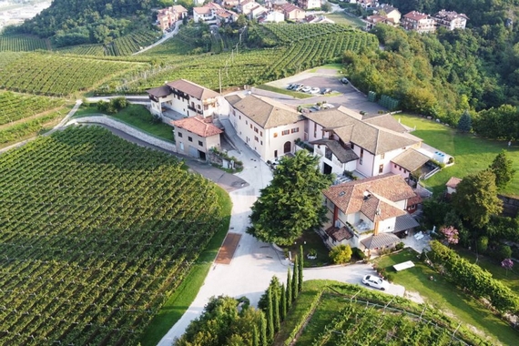 picnic vigneti moser casagrande 03 570