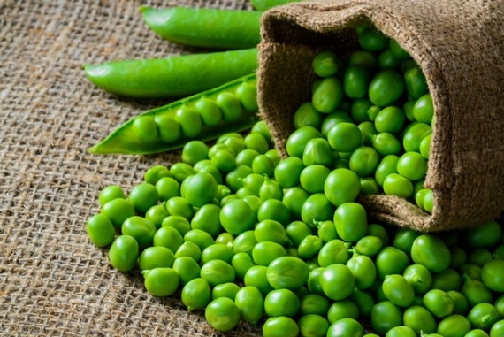 sagra bisi colognola vr casagrande 23 03 570