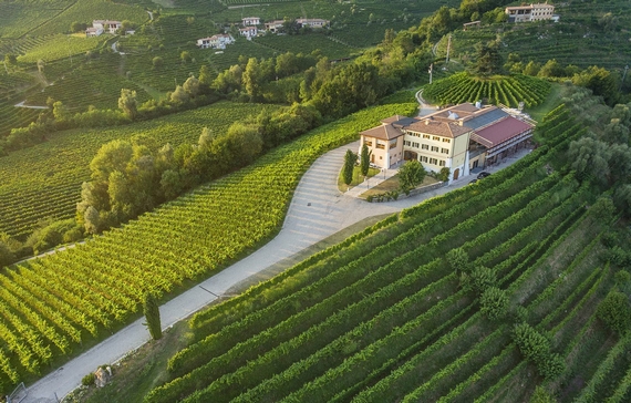tenuta Canevel di Valdobbiadene casagrande 23 02 570