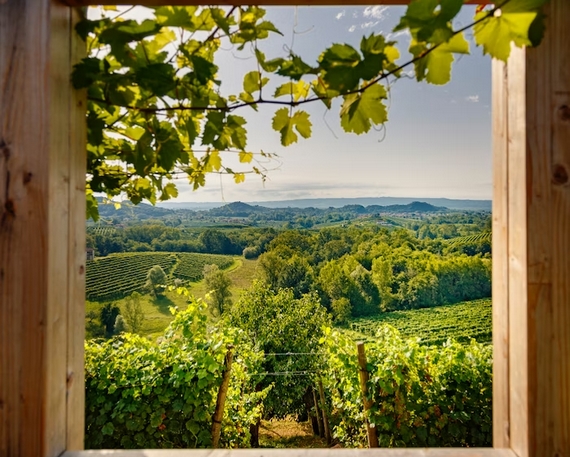 tenuta Canevel di Valdobbiadene casagrande 23 03 570