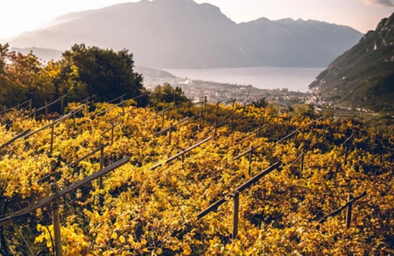 trentodoc festival sett. 23 03 570