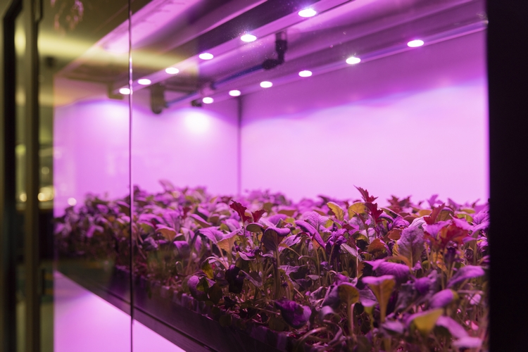 PlanetFarms SKS 028 750