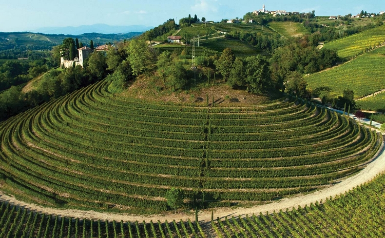 collio goriziano vino e pace casagrande 01