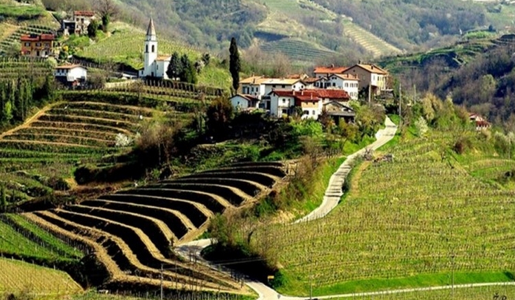 collio goriziano vino e pace casagrande 03