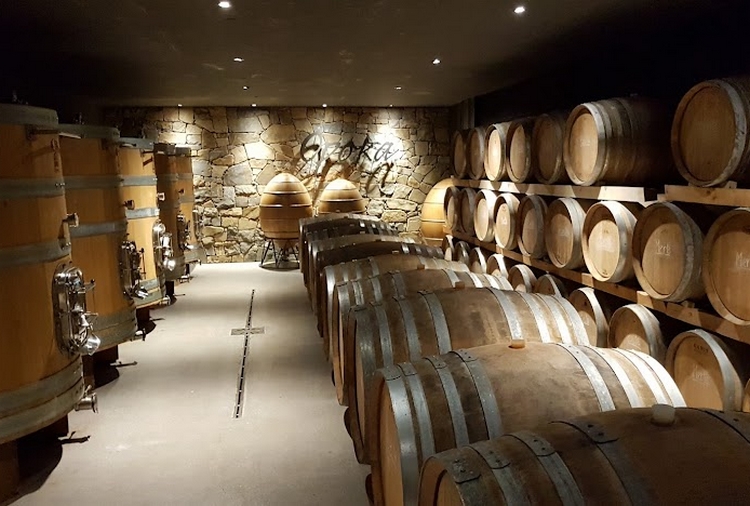 collio goriziano vino e pace casagrande 05