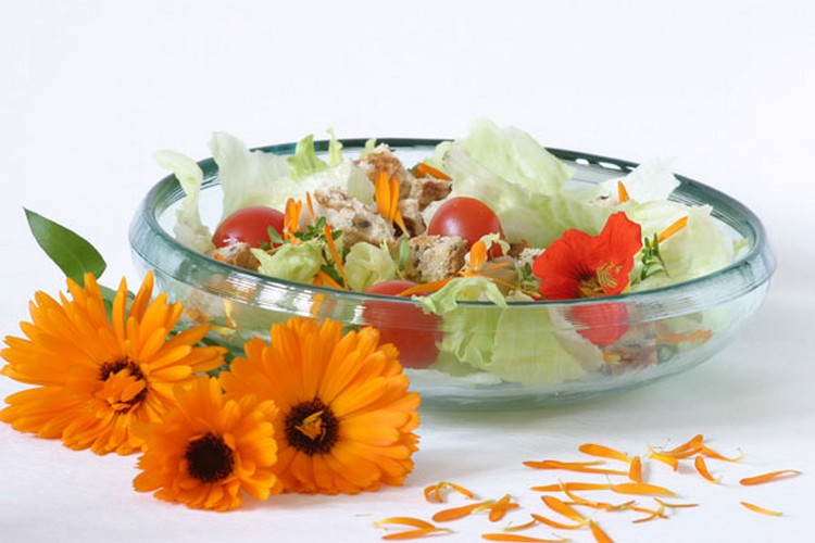 piatto zur bolzano fiori3