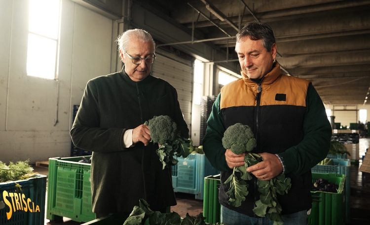 Rampello agricoltori Tarquinia 750