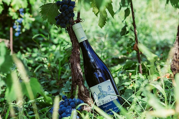 Azienda Nicolucci sangiovese casagrande 3 23 570.jpg