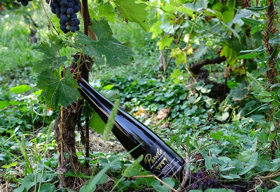 Azienda Nicolucci sangiovese casagrande 4 23 570.jpg