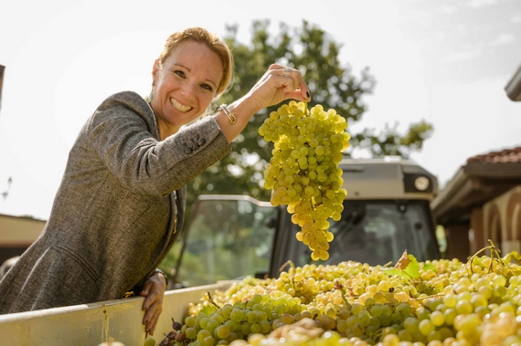 Chiara-Soldati-Gavi-La-Scolca vendemmia 570.jpg