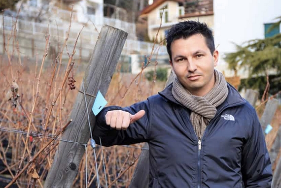 Nicola Basi, pioniere dei Piwi, vitigni resistenti alle malattie fungine itin 22 570.jpg