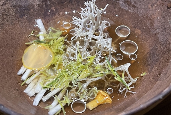 Noma Copenaghen piatti 3 itin 23 570.jpg