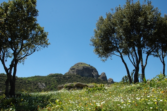 PARCO NAZIONALE DELL'ASPROMONTE itin 22 570.jpg