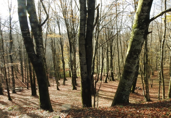 PARCO SERRE 2 itin 22 570.JPG