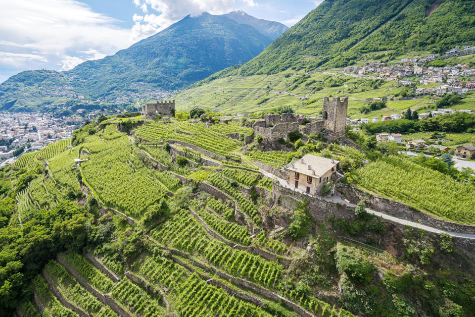 Vigneti-della-Valtellina.jpg