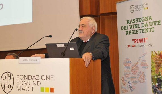 boom piwi casagrande 5 itin 22 570.jpg