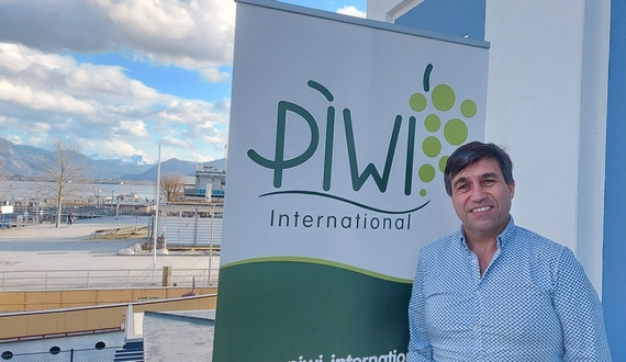 boom piwi casagrande 6 itin 22 570.jpg
