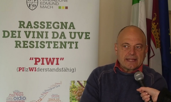 boom piwi casagrande 7 itin 22 570.jpg