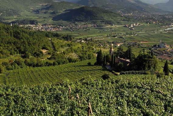 bossi-fedrigotti_fojaneghe_tenuta itin 22 570.jpg