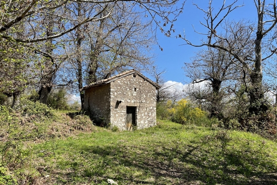 castagna mosciarella 3 itin 22 570.jpg