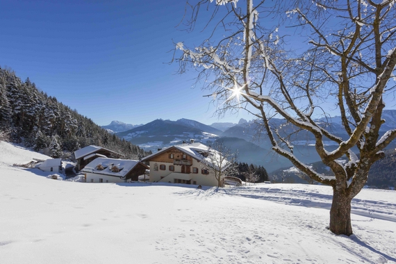 cons. gallo rosso masi alto adige casagrande 2 itin 22 570.jpg
