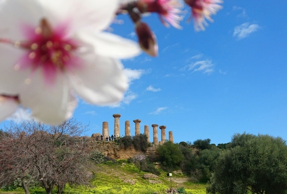 mandorle agrigento 3 itin 23 570.jpg