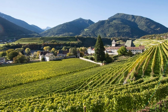 migliori vigneti l'Abbazia di Novacella 23 570.jpeg