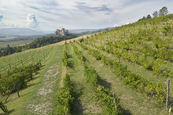 mitica malvasia simbolo mediterraneo casagrande 3 itin 23 570.jpg