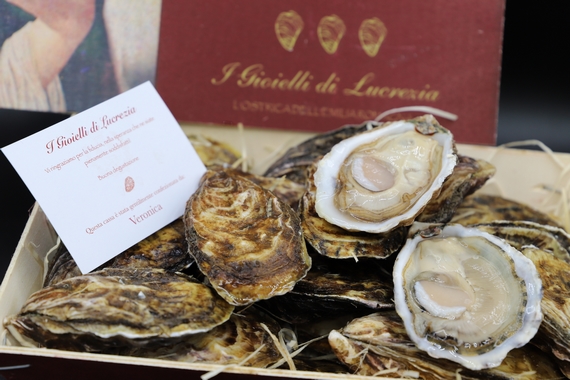 ostriche ferraresi Lucrezia Casagrande 4 itin 22 570.jpg