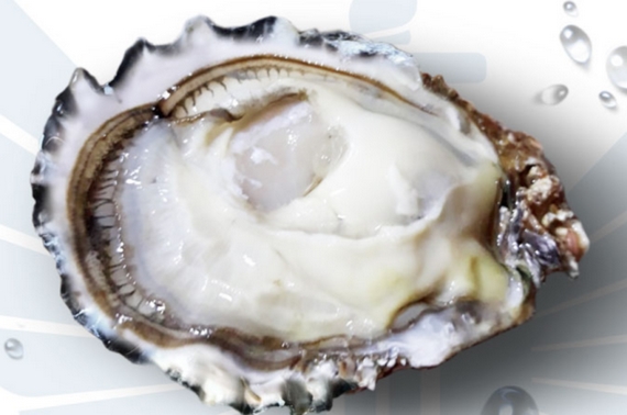 ostriche ferraresi Lucrezia Casagrande 5 itin 22 570.jpg