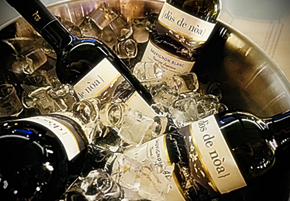 riva del garada vino olio spumanti casagrande itin 23 1 570.jpg