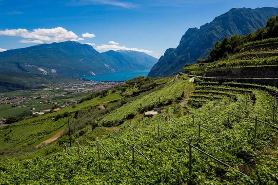 riva del garada vino olio spumanti casagrande itin 23 8 570.jpg