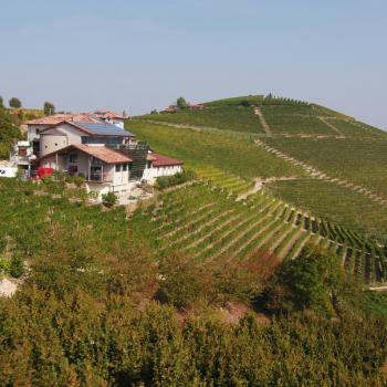 AZIEDA AGRICOLA ETTORE GERMANO, SERRALUNGA D'ALBA (CN)