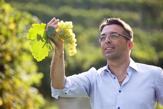stefano bottega ribolla gialla 1 itin 22 570.jpg