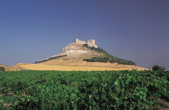 tempranillo casagrande itin 22 2 570.jpg