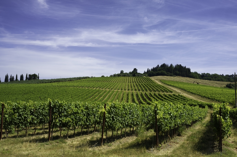 toscana iStock 1391574384